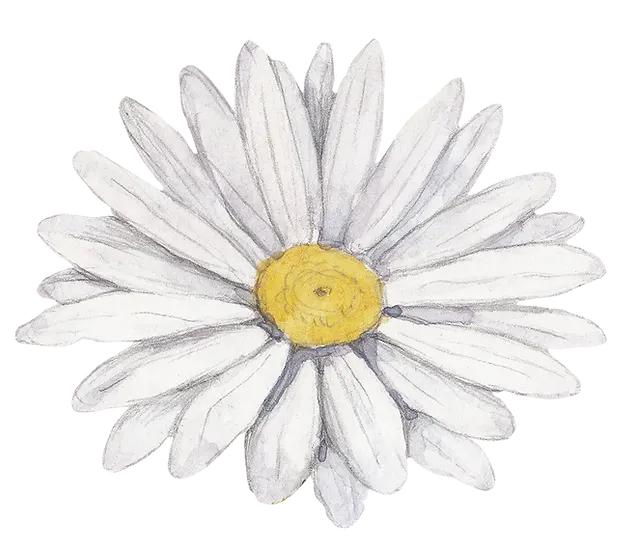 White Flower
